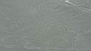 lignes nazca 1
